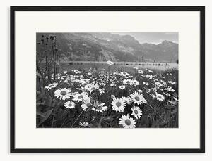 Nástenná dekorácia v ráme Alpine meadow