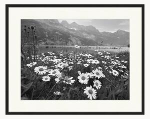 Nástenná dekorácia v ráme Alpine meadow