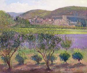 Timothy Easton - Umelecká tlač Lavender Seen Through Quince Trees, Monclus, (40 x 35 cm)
