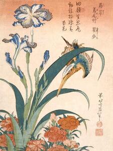 Hokusai, Katsushika - Umelecká tlač Kingfisher, (30 x 40 cm)