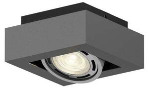Arcchio - Ronka 1 Stropné Lampa Dark Grey