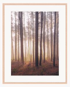 Nástenná dekorácia v ráme Into The Foggy Woods