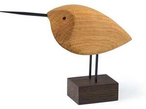 Warm Nordic - Beak Bird Awake Snipe Oak