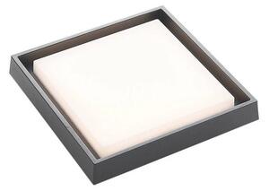 Lucande - Birta LED Square Vonkajšie Stropné Lampa 27x27 Dark Grey