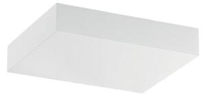 Nástenné LED svietidlo Regolo dĺžka 16,3 cm, biele