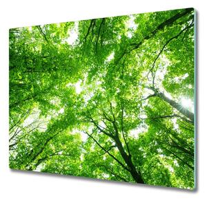 Sklenená doska na krájanie Zelený les 60x52 cm