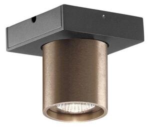 LIGHT-POINT - Focus Mini 1 LED Stropné Lampa 2700K Rose Gold