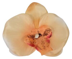 Orchidea hlava kvetu10cm x 8cm broskyňová umelá - cena je za balenie 24ks