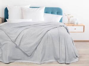 Dreamy Linens Mikroflanelová deka, sivá Dreamy Linens