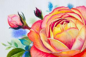 Tapeta kreslené ruže - 225x150
