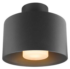 SLV - Photoni Cyl Vonkajšie stránky Stropné Lampa Cylindrical Black