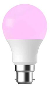 Nordlux - Žiarovka Smart Colour 8W (806lm) 2200-6500K Dim. White B22