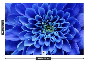 Fototapeta Vliesová Modrý kvet 104x70 cm