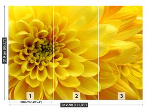 Fototapeta Vliesová Žltý kvet 312x219 cm