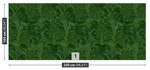 Fototapeta Vliesová Tropické rastliny 250x104 cm