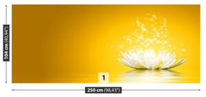 Fototapeta Vliesová Lotosový kvet 250x104 cm