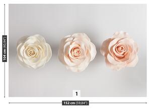 Fototapeta Vliesová Ruže 152x104 cm