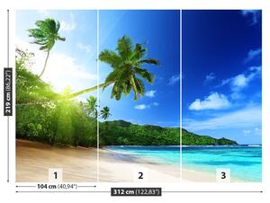 Fototapeta Vliesová Pláž na seychelách 312x219 cm