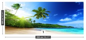 Fototapeta Vliesová Pláž na seychelách 250x104 cm