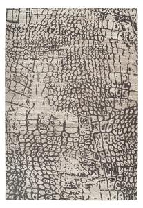BEHÚŇ, 80/150 cm, sivá Kayoom - Online Only bytové doplnky, Online Only