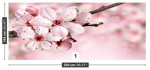 Fototapeta Vliesová Ružový kvet 250x104 cm