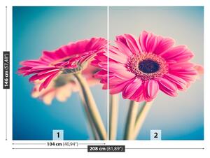 Fototapeta Vliesová Ružové kvety 208x146 cm