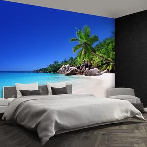 Fototapeta Vliesová Seychelská pláž 250x104 cm