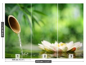 Fototapeta Vliesová Bambusová fontána 312x219 cm