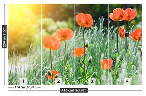 Fototapeta Vliesová Makové kvety 416x254 cm