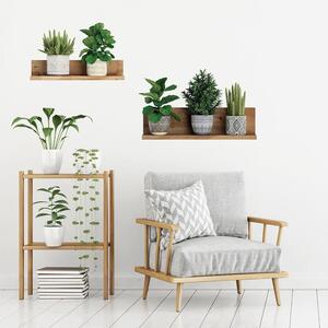 Samolepka na stenu 60x35 cm 3D effect Green Plants - Ambiance