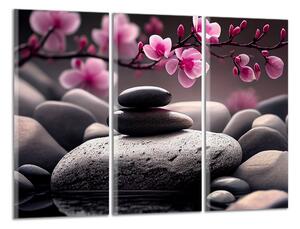 Obraz na stenu Ružové kvety a zen kamene
