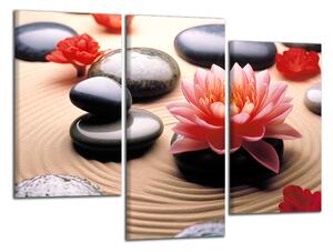 Obraz na stenu Kvet a zen kamene