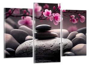 Obraz na stenu Ružové kvety a zen kamene