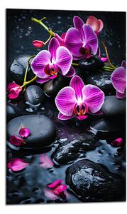 Moderný obraz Fialové orchidey na kameňoch
