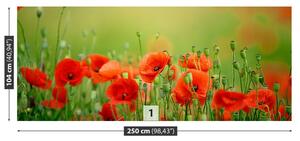 Fototapeta Vliesová Makové kvety 250x104 cm
