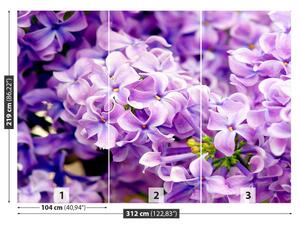 Fototapeta Vliesová Fialové kvety 312x219 cm