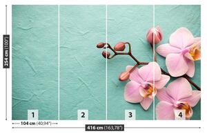 Fototapeta Vliesová Orchid pink 416x254 cm