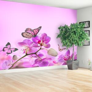 Fototapeta Vliesová Orchid motýľ 250x104 cm