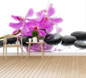Fototapeta Vliesová Ružová orchidea 152x104 cm
