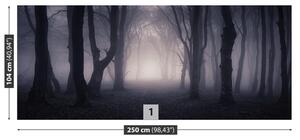 Fototapeta Vliesová Temný les 250x104 cm