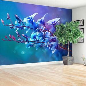 Fototapeta Vliesová Modrá orchidea 104x70 cm