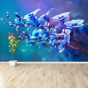 Fototapeta Vliesová Modrá orchidea 104x70 cm