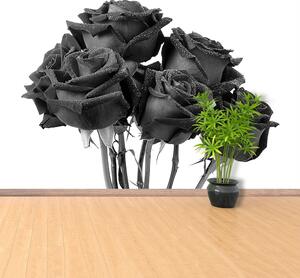 Fototapeta Vliesová Čierne ruže 312x219 cm