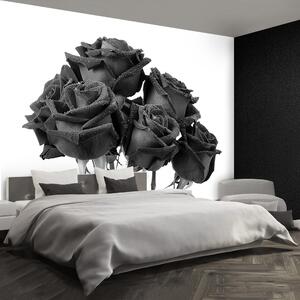 Fototapeta Vliesová Čierne ruže 104x70 cm