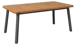 ZÁHRADNÝ STÔL, drevo, kov, 100/75/180/240 cm100/75/180/240 cm Ambia Garden - Online Only záhrada, Online Only