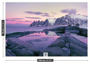 Fototapeta Vliesová Zimný fjord 104x70 cm