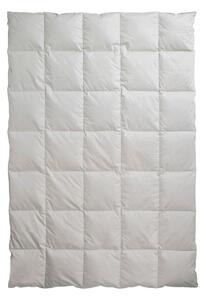 CELOROČNÁ PRIKRÝVKA, 135/200 cm, páperie Centa-Star - Prikrývky & vankúše, Online Only