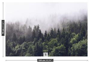 Fototapeta Vliesová Horský les 104x70 cm