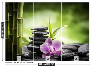 Fototapeta Vliesová Orchidea zen 312x219 cm