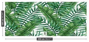 Fototapeta Vliesová Palmové listy 250x104 cm